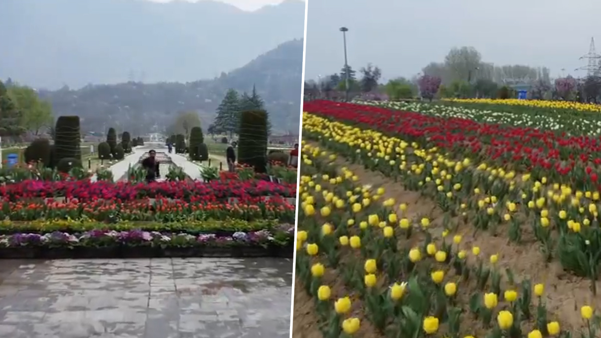 Indira Gandhi Memorial Tulip Garden: জনসাধারণের জন্য খুলে দেওয়া হল ইন্দিরা গান্ধী মেমোরিয়াল টিউলিপ গার্ডেন