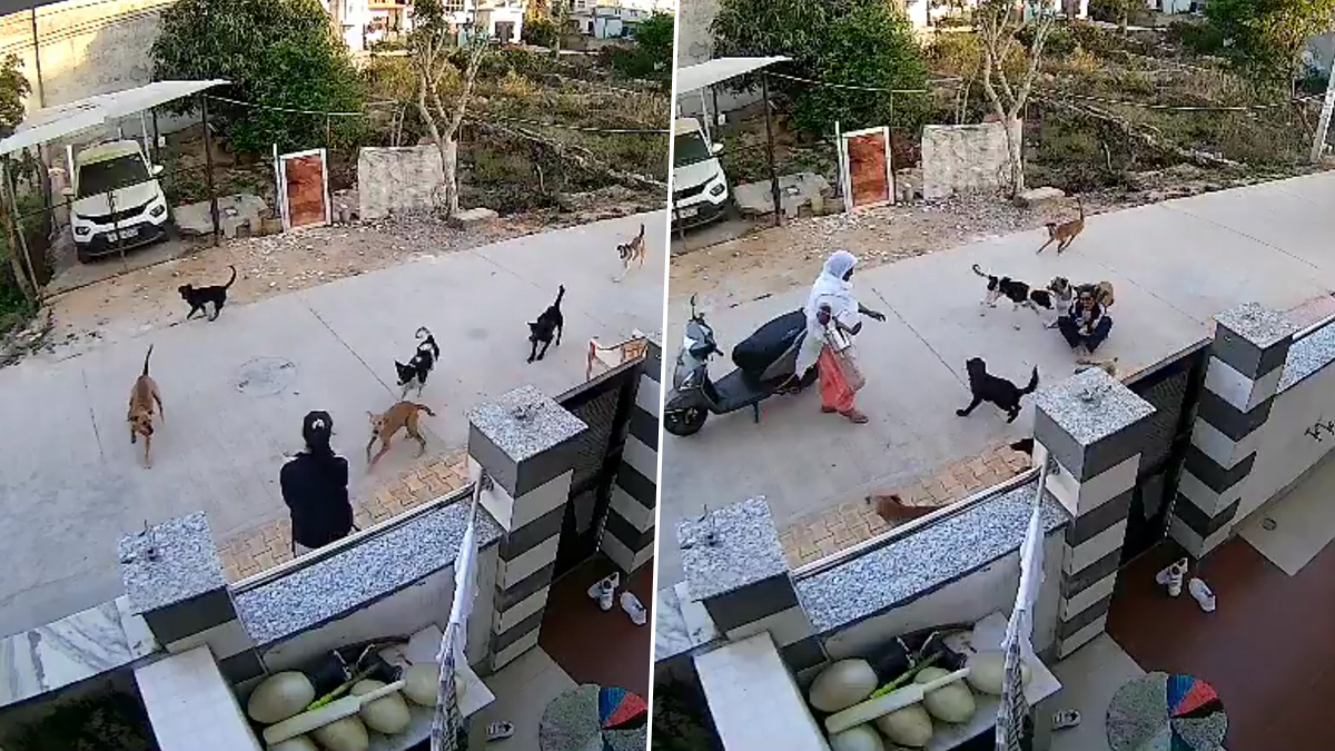 Dog Attack Caught on Camera: রাস্তার মাঝে তরুণীর উপর ঝাঁপিয়ে পড়ল একঝাঁক পথকুকুর, তারস্বরে চিৎকার, দেখুন CCTV ফুটেজ