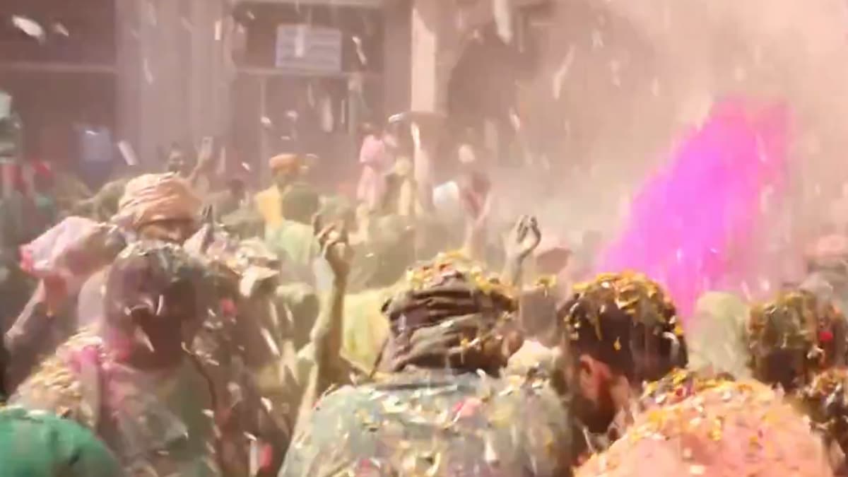 Widows Celebrate Holi: রঙে রঙে রঙিন হলেন সাদা শাড়ি পরা বৃন্দাবনের বিধবা মহিলারা