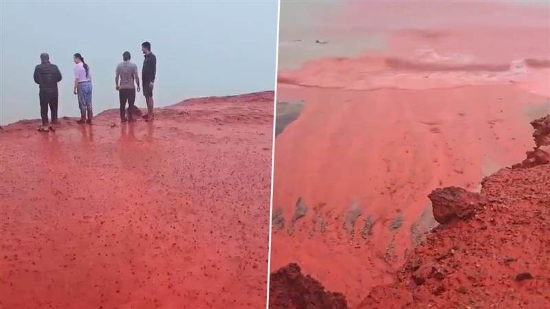 Blood Rian In Iran Video: বইছে 'রক্তগঙ্গা', এক নাগাড়ে 'রক্ত বৃষ্টি', লাল জলের ঢেউ উঠল সমুদ্রেও দেখুন