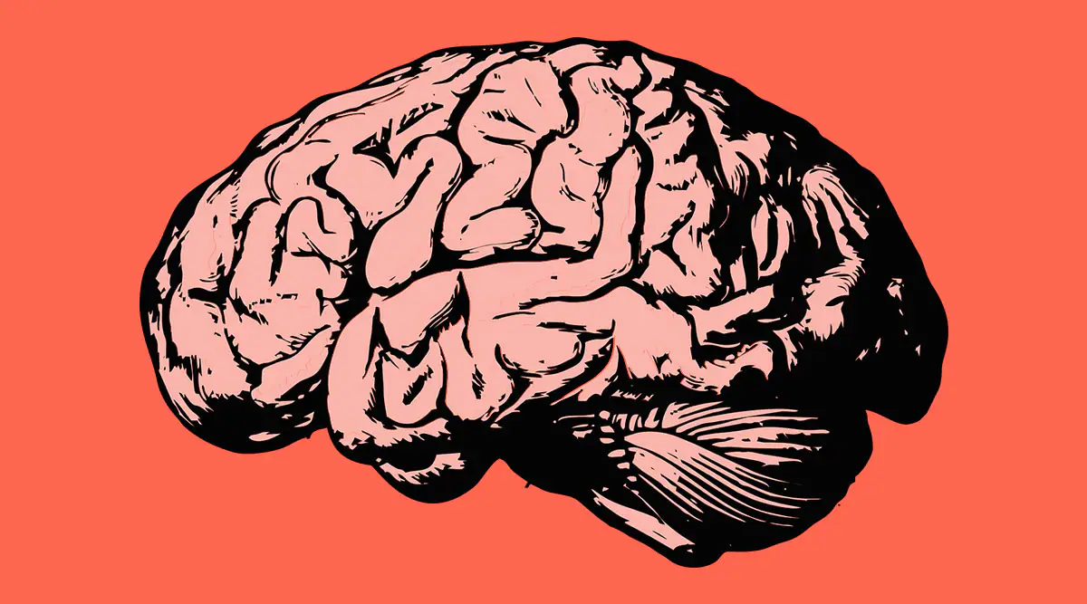 Brain Exercise: মস্তিষ্ক ২৪ ঘন্টা একটানা সক্রিয় রাখতে ৩০ মিনিটের জন্য করুন এই মস্তিষ্কের ব্যায়াম...