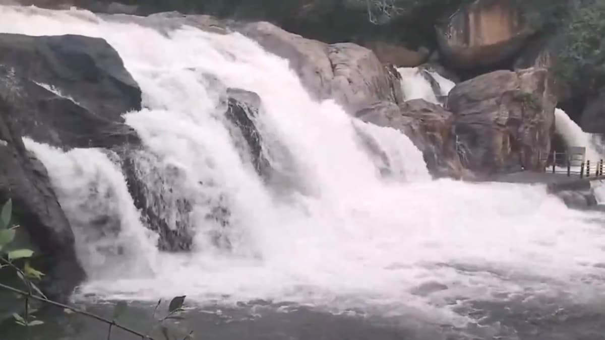 Waterfalls Video: প্রচণ্ড বৃষ্টিতে জলপ্রপাত ফাটল হঠাৎ করে, দেখুন ভিডিয়ো