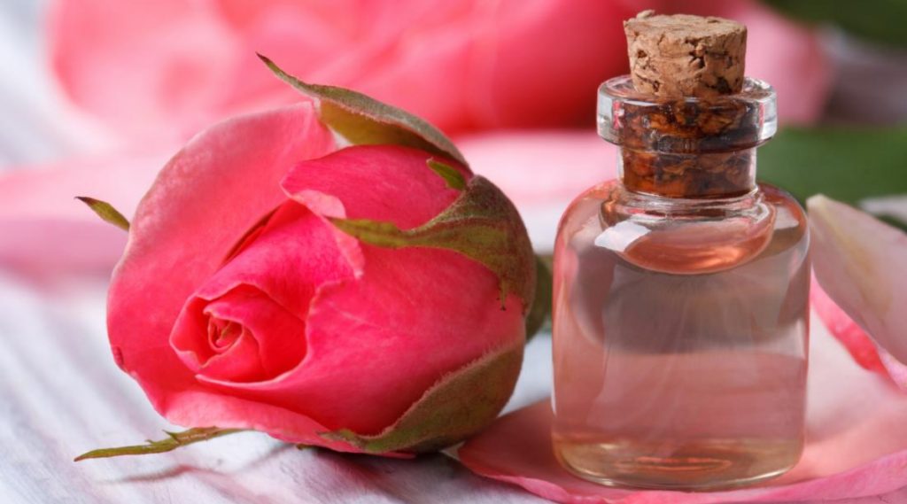 Rose Water: ত্বকের উজ্জ্বলতা বৃদ্ধি করতে ঘরেই তৈরি করুন গোলাপ জল, জেনে নিন গোলাপ জল তৈরির সহজ উপায়...