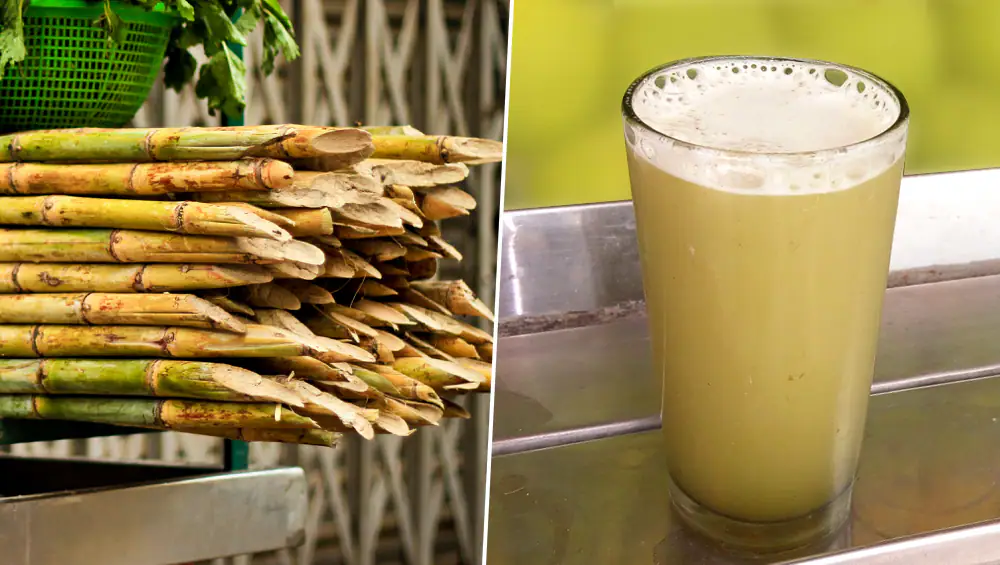 Sugarcane Juice Side Effects: আখের রস উপকারী হলেও এর ক্ষতিকর প্রভাব রয়েছে, জেনে নিন আখের রসের পার্শ্বপ্রতিক্রিয়া সম্বন্ধে বিস্তারিত...