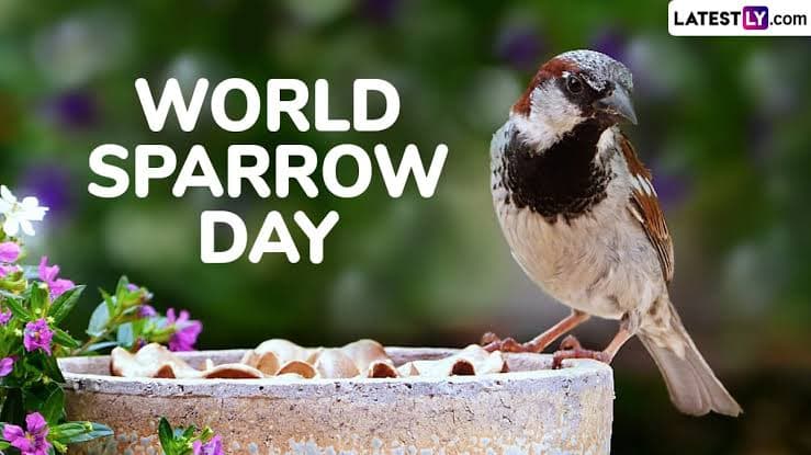 World Sparrow Day 2025: বিশ্ব চড়ুই দিবস কবে? জেনে নিন বিশ্ব চড়ুই দিবসের ইতিহাস এবং গুরুত্ব...