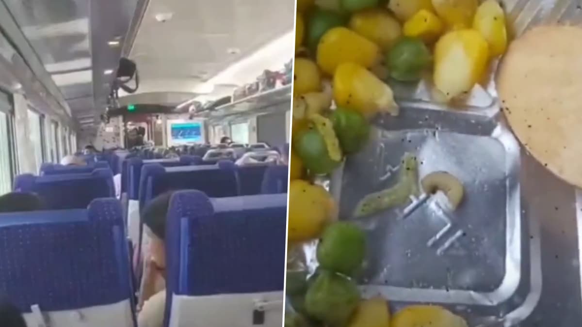 Vande Bharat Express: বন্দে ভারতের খাবারে মিলল মরা কৃমি, চক্ষু ছানাবড়া যাত্রীর, 'রিলমন্ত্রী' অশ্বিনী বৈষ্ণবকে তুলোধোনা আপের