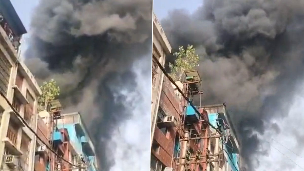Fire Broke Out: কেশবপুরের কারখানায় ভয়াবহ আগুন, দমকলের ১৪টি ইঞ্জিন আগুন নেভাচ্ছে