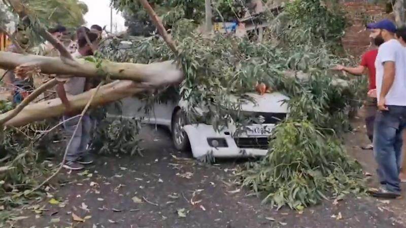 Kathua: কাঠুয়াতে প্রবল ঝড়বৃষ্টি, চলন্ত গাড়িতে উপড়ে পড়ল আস্ত গাছ, দেখুন ভিডিয়ো