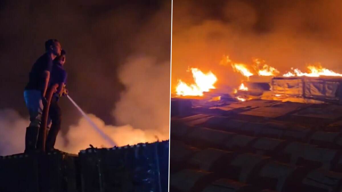 Gujarat Fire: গুজরাটে এনটিপিসি প্ল্যান্টে ভয়াবহ অগ্নিকাণ্ড, দমকলের একাধিক ইঞ্জিন পৌঁছেছে