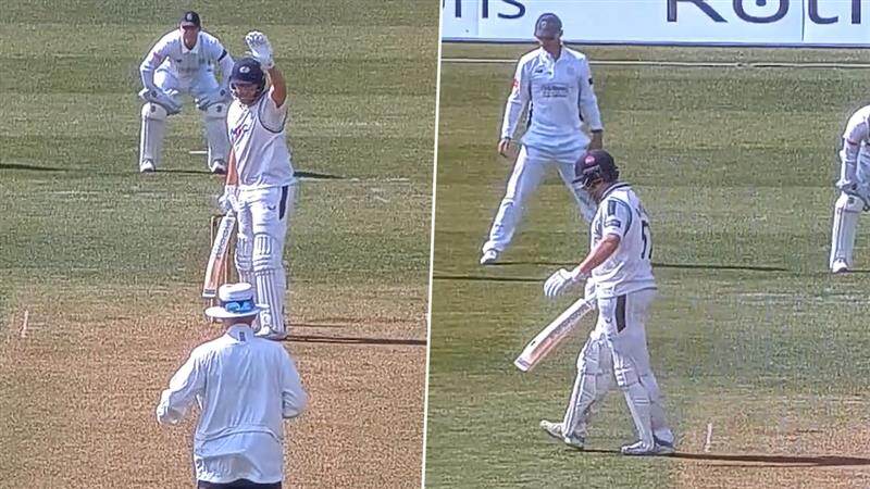 Jonny Bairstow Bizarre Out, Cricket Viral Video: মৌমাছি না বোলতা! মাঠে পোকা ঢুকতেই আজব আউট জনি বেয়ারস্টো, দেখুন ভিডিও