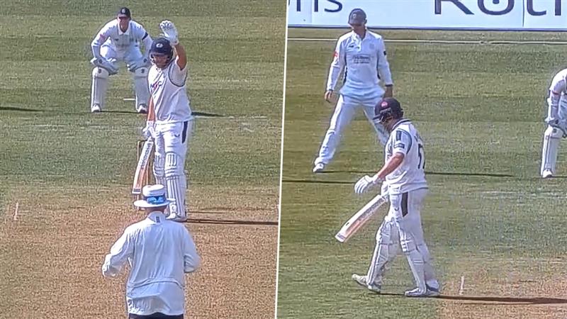 Jonny Bairstow Bizarre Out, Cricket Viral Video: মৌমাছি না বোলতা! মাঠে পোকা ঢুকতেই আজব আউট জনি বেয়ারস্টো, দেখুন ভিডিও