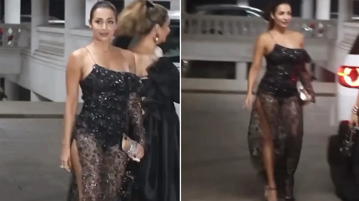 Malaika Arora Hot Video: নেটের শরীরচাপা পোশাকে মালাইকা, অর্ধ নিতম্ব উন্মুক্ত নায়িকাকে দেখে আগুন জ্বলল ভক্তদের মনে, দেখুন ভিডিয়ো