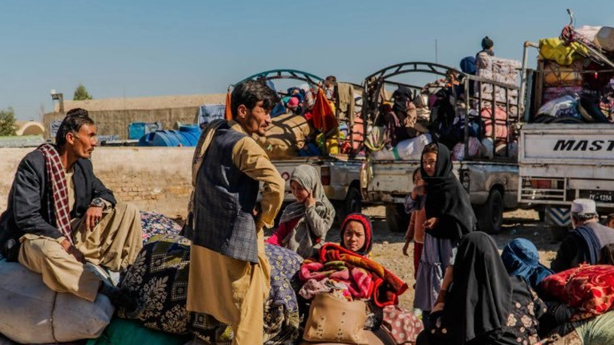 Afghan Refugees In Pakistan: শুরু হল নির্বাসন অভিযান, ১১,৩৭১ জন আফগান শরণার্থীকে বলপূর্বক আফগানিস্তানে ফেরত পাঠাল পাকিস্তান