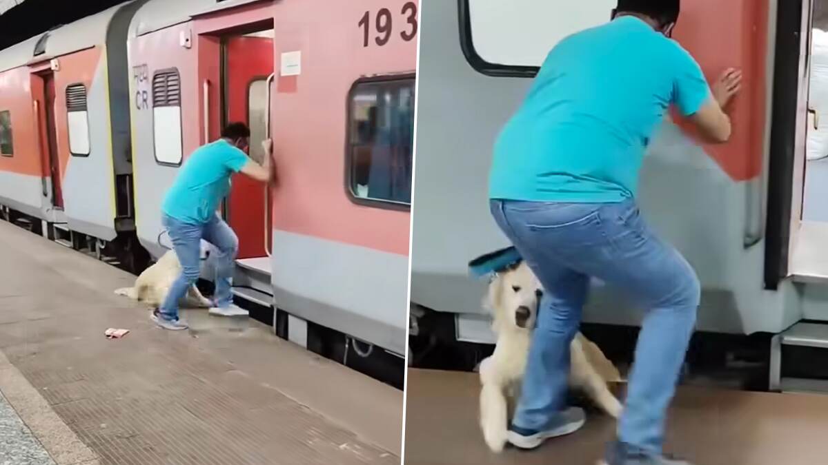 Viral Video of Dog: চলন্ত ট্রেনে পোষ্যকে নিয়ে ওঠার চেষ্টা করছিল এক ব্যক্তি, অসাবধানতায় হল মর্মান্তিক ঘটনা, দেখুন ভিডিয়ো