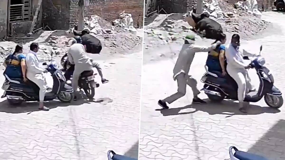 Chain Snatching Incident: ভরদুপুরে মহিলার গলা থেকে চেন ছিনতাই, বসতি এলাকায় ছিনতাইবাজের তাণ্ডব, দেখুন CCTV ফুটেজ