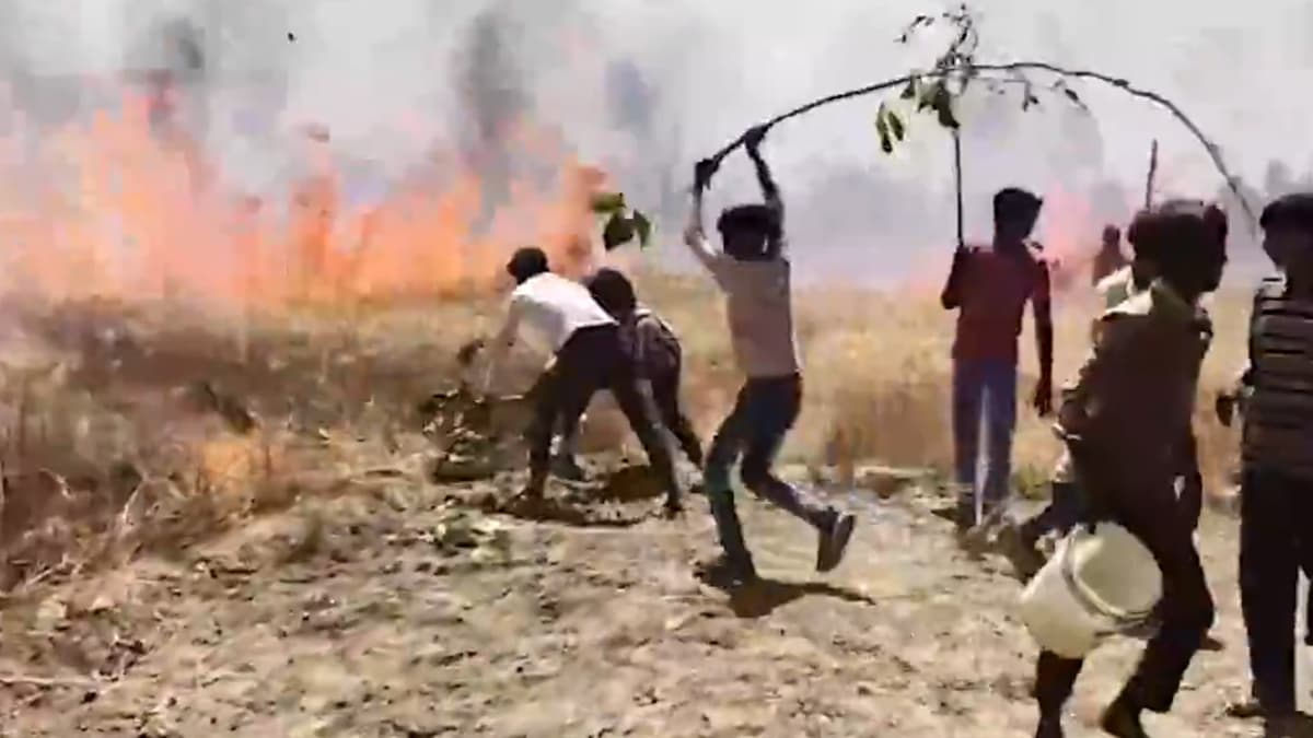 Uttar Pradesh Wheat Field Fire: প্রখর রৌদ্রের তেজে জ্বলে উঠল গম ক্ষেত, পুড়ে ছাই ৩০ বিঘা ফসল, গ্রামজুড়ে হাহাকার
