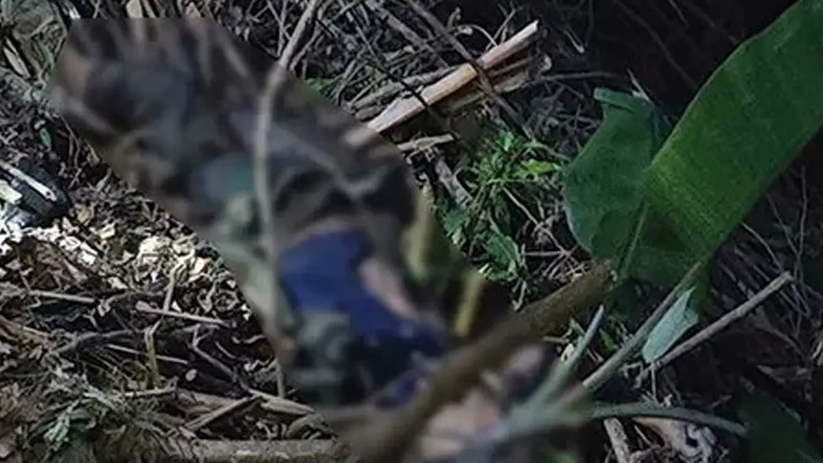 3 NSCN(A) Cadres Killed In Arunachal: অরুণাচলের লংডিঙে সেনা-জঙ্গি তীব্র সংঘর্ষ, ধরাশায়ী তিন ও ঘায়েল দুই এনএসসিএন (আংমাই) ক্যাডার