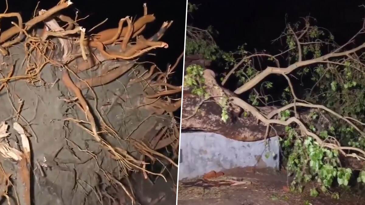 Bihar: বিহারে শুরু প্রবল ঝড়বৃষ্টি, প্রাকৃতিক দুর্যোগের জেড়ে ভেঙে পড়ল বাড়ি, মৃত কমপক্ষে ১৮, আহত বহু