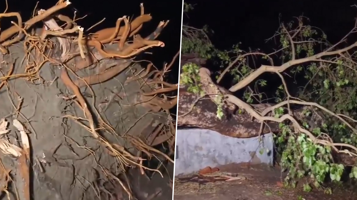 Bihar: বিহারে শুরু প্রবল ঝড়বৃষ্টি, প্রাকৃতিক দুর্যোগের জেড়ে ভেঙে পড়ল বাড়ি, মৃত কমপক্ষে ১৮, আহত বহু