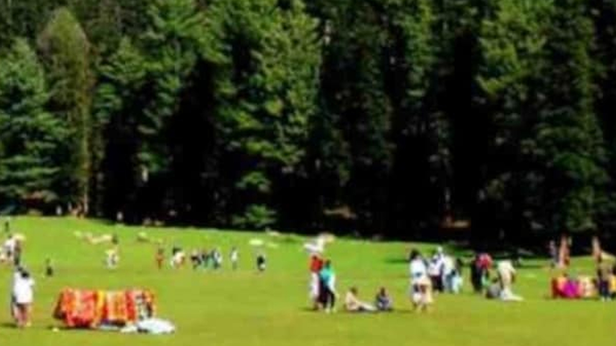 Pahalgam Terror Attack: পহেলগামে যাঁরা হামলা করছে, তাঁরাই প্রকৃত ইসলামবিরোধী, মন্তব্য জামা মসজিদের শাহী ইমামের