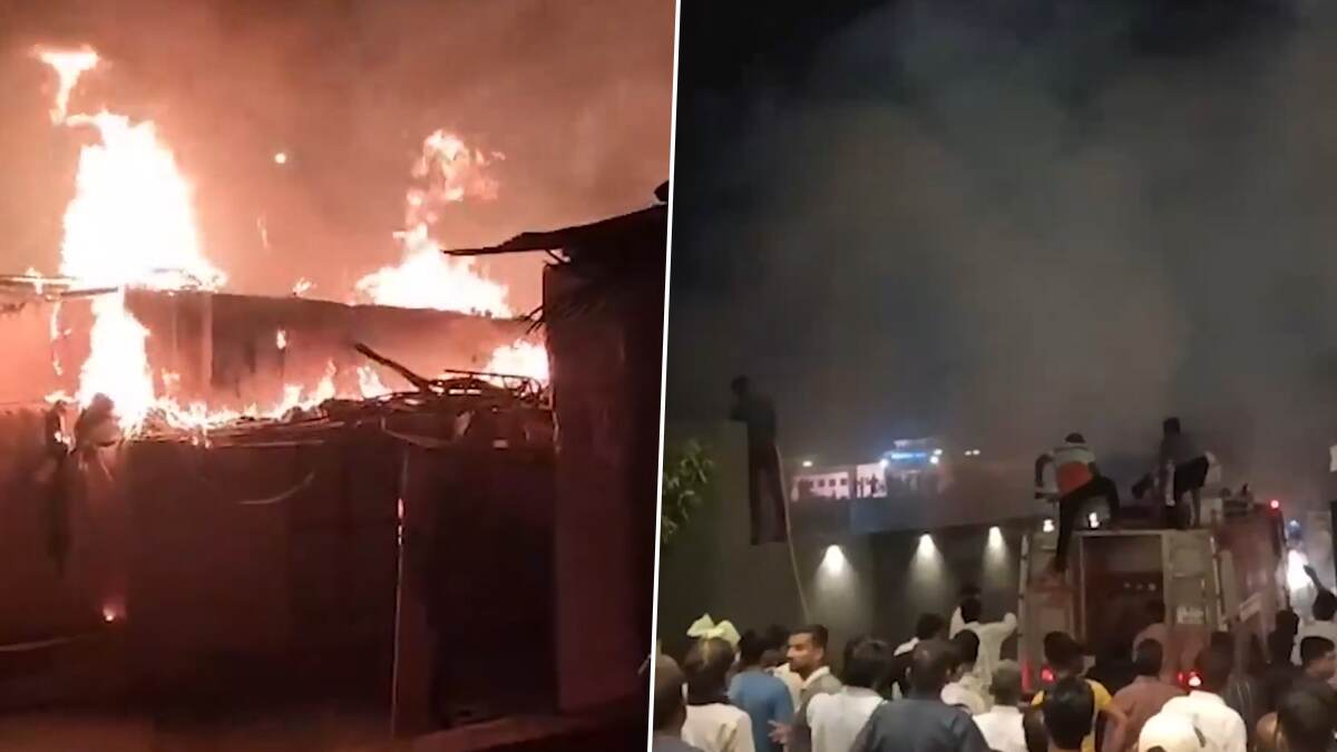 Rajasthan Fire: আতসবাজি থেকে প্রাইভেট রিসর্টে লাগল আগুন, পুড়ে খাঁক একাংশ এলাকা, দেখুন ভিডিয়ো