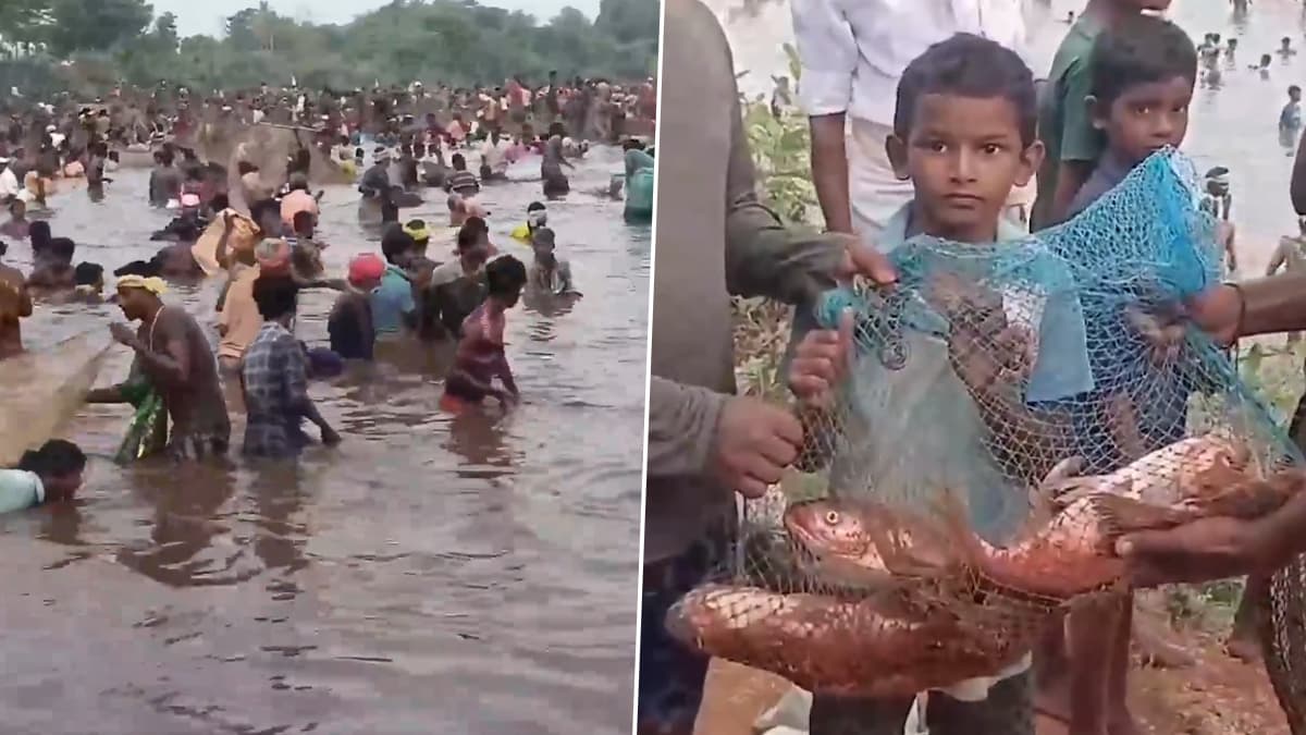 Fish-Catching Festival: হাঁটু জলে মাছ ধরতে নেমেছেন হাজার হাজার মানুষ, তামিলনাড়ুতে ঐতিহ্যবাহী উৎসব উদযাপন চলছে