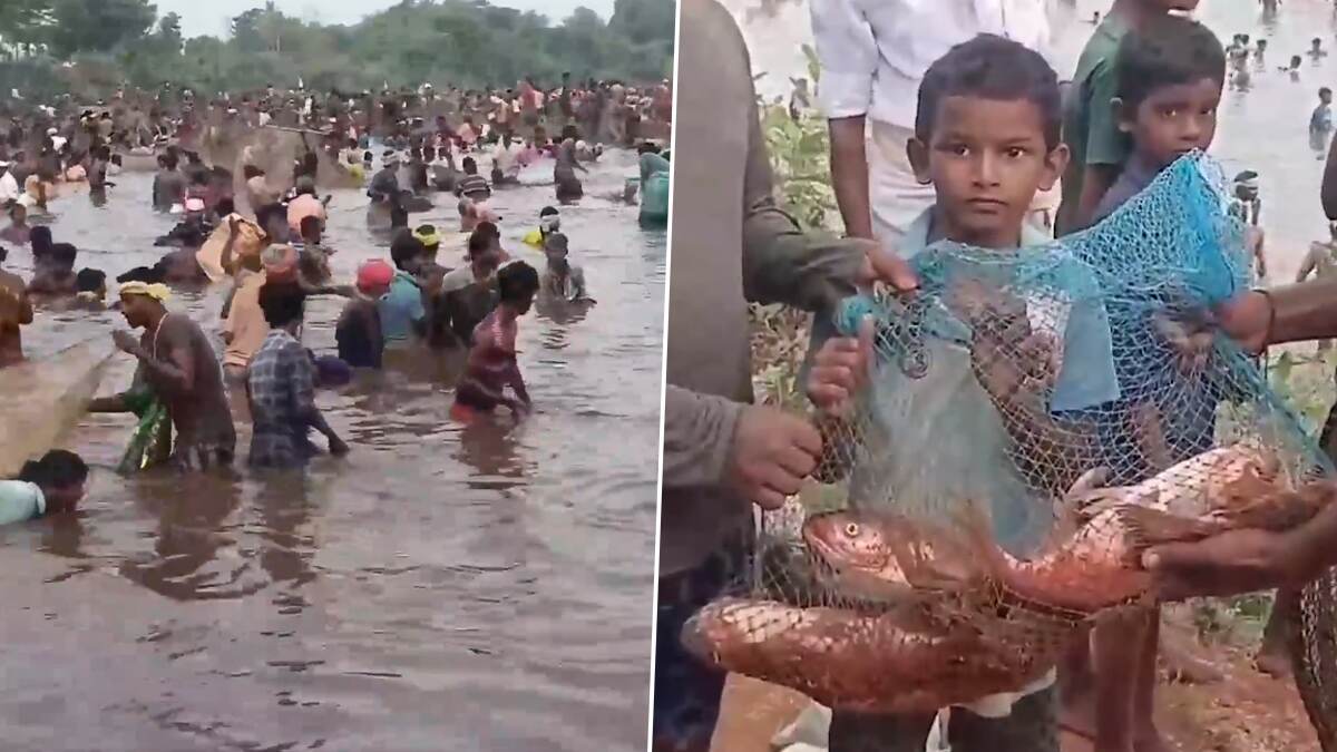 Fish-Catching Festival: হাঁটু জলে মাছ ধরতে নেমেছেন হাজার হাজার মানুষ, তামিলনাড়ুতে ঐতিহ্যবাহী উৎসব উদযাপন চলছে
