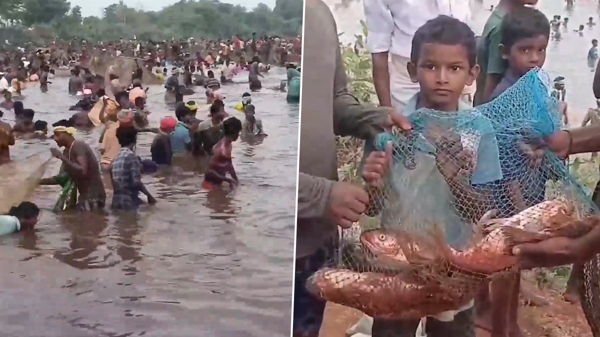 Fish-Catching Festival: হাঁটু জলে মাছ ধরতে নেমেছেন হাজার হাজার মানুষ, তামিলনাড়ুতে ঐতিহ্যবাহী উৎসব উদযাপন চলছে