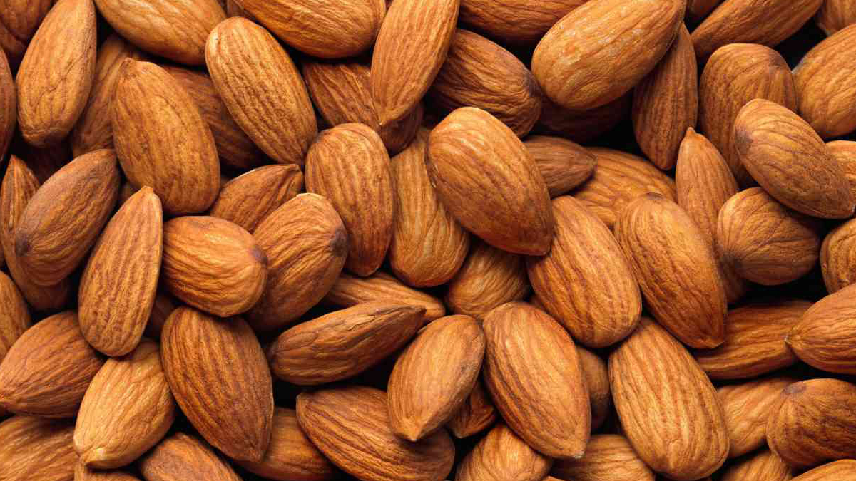 Don't eat too many almonds: আমন্ড অনেক খেলে হিতে বিপরীত হতে পারে। জেনে নিন কি সমস্যা হতে পারে