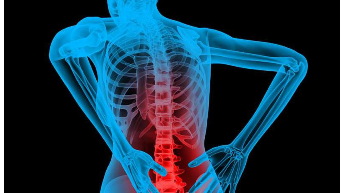 Relief from back pain: এইসব উপায়ে মেনে চললে কমে যাবে কোমরের ব্যাথা। রইল টিপস