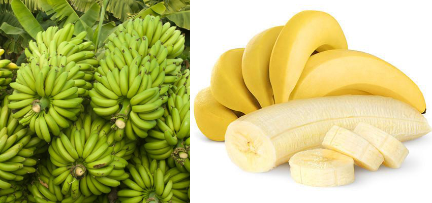 Who can eat banana: কলা খাচ্ছেন? তবে কারা খেতে পারবেন জেনে নিন