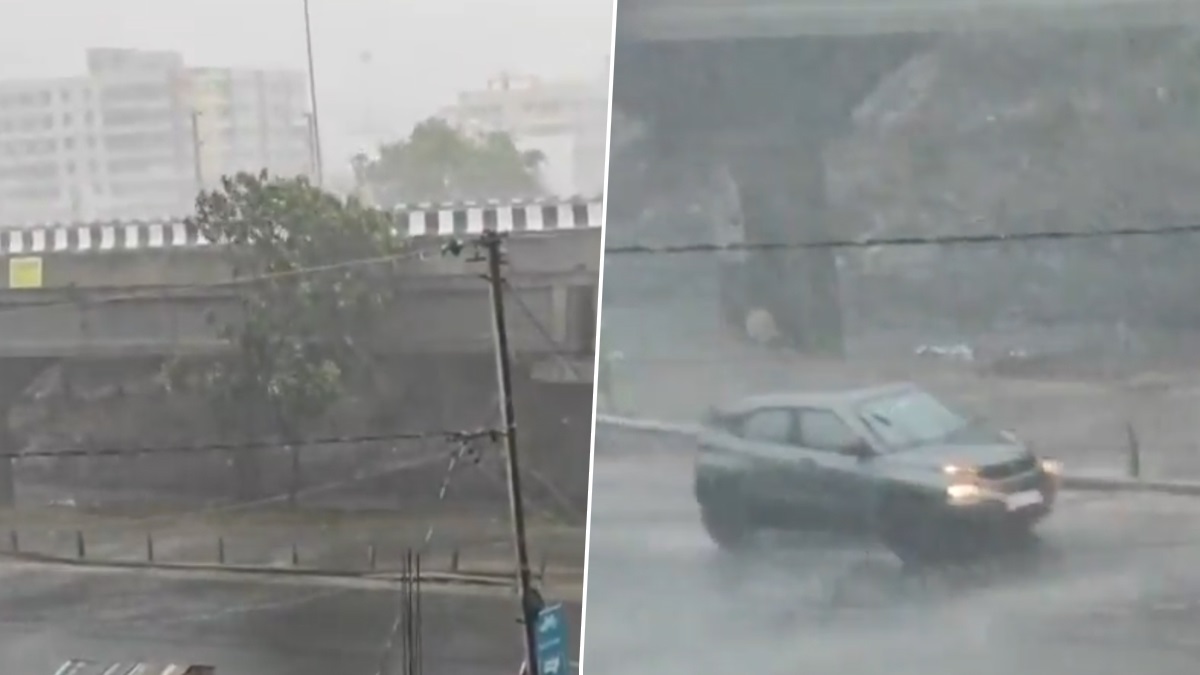Weather Update: দিল্লিতে ধুলো ঝড়, বালির আস্তরণে রাস্তা, ঘরবাড়ি ঢেকে গেল, ভাইরাল ভিডিয়ো দেখুন