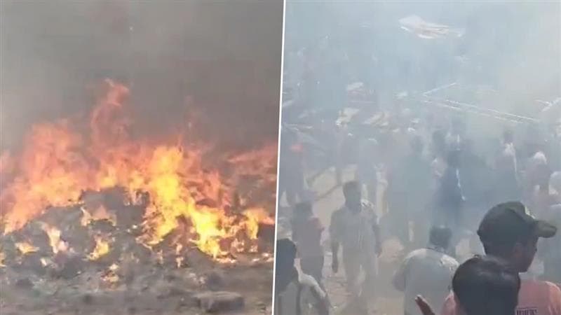Fire In Delhi: ভরদুপুরে মাছের বাজারে আগুন, পুড়ে ছাই বাইক ও গাড়ি, দেখুন ভিডিয়ো