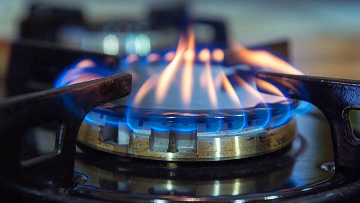 Gas burner cleaning tips: রান্নার গ্যাস হবে সাশ্রয়। বার্নার পরিষ্কার করুন এই পদ্ধতিতে