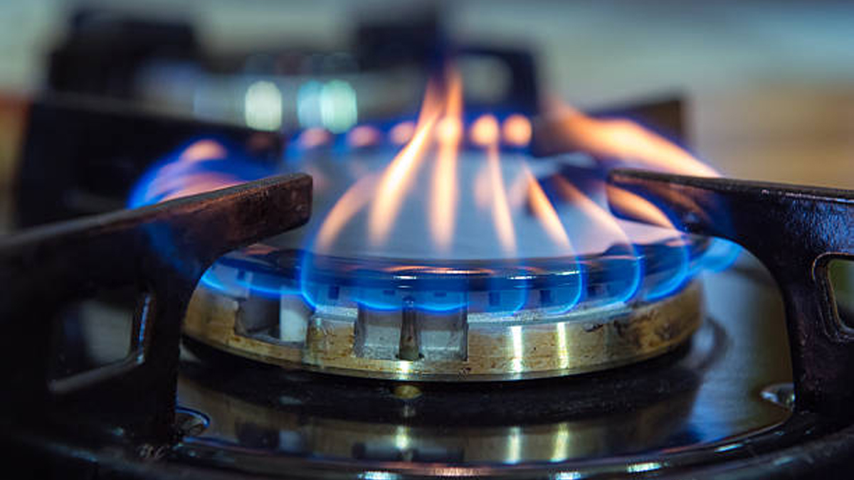 Gas burner cleaning tips: রান্নার গ্যাস হবে সাশ্রয়। বার্নার পরিষ্কার করুন এই পদ্ধতিতে