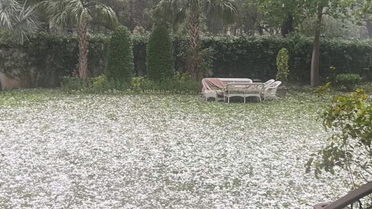 Pakistan Hailstorm Video: পাকিস্তানে ভয়ঙ্কর শিলাবৃষ্টি, আকাশ থেকে ঝরে পড়ছে দানবীয় বরফের টুকরো; ভেঙে চুরমার সব গাড়ি, ভাইরাল ভিডিয়ো
