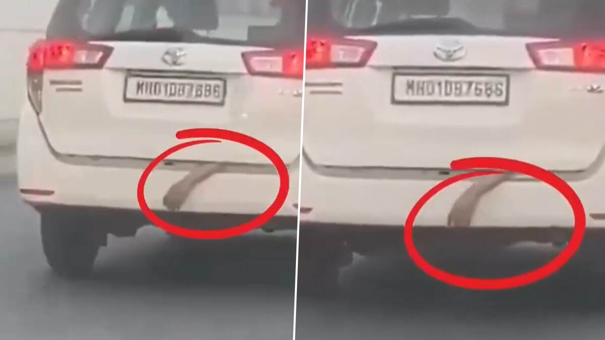 Hand Of 'Dead' Man Hanging From Car Video: গাড়ির ডিকি থেকে ঝুলছে 'মৃতদেহের' হাত, ভয়াবহ ভিডিয়ো ভাইরাল