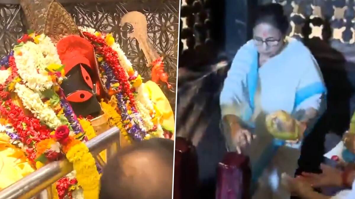 Mamata Banerjee Video: স্কাইওয়াক উদ্বোধনের পর কালীঘাট মন্দিরে মুখ্যমন্ত্রী, দিলেন পুজো দেখুন