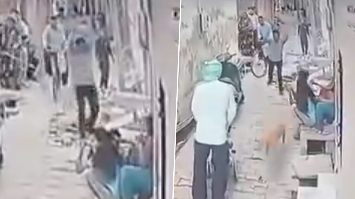 Viral Video: লাঠি দিয়ে বেদম মার কুকুরকে, অবলা প্রাণীর উপর নির্মম অত্যাচারের ভিডিয়ো দেখে নিন্দার ঝড়