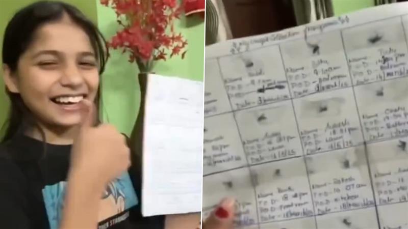 Viral Video: মশা মেরে দেহ সংগ্রহ করে নাম দেন, লিখে রাখেন মৃত্যু দিনও, ভাইরাল তরুণীর 'অদ্ভুত' শখ