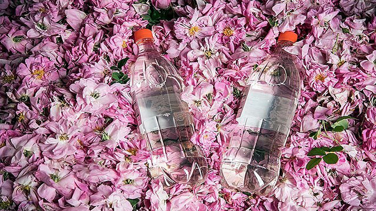 Rose water for glowing skin: উজ্জ্বল স্কিনের জন্য উপকারী গোলাপজল ।জেনে নিন কীভাবে ব্যবহার করবেন