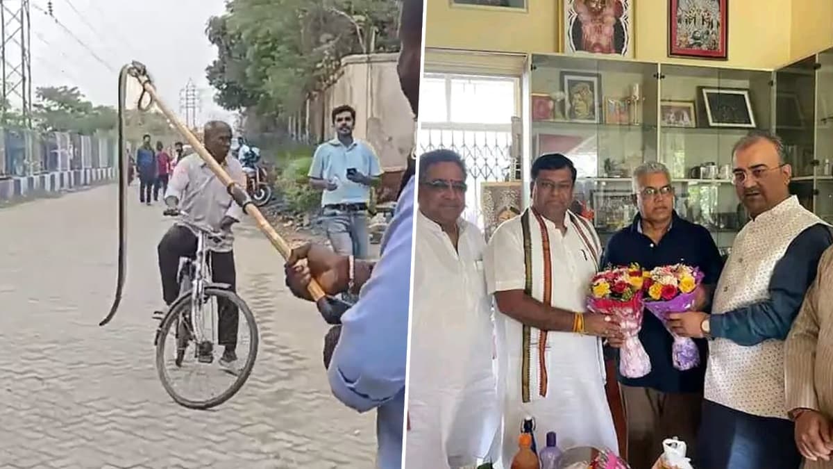 Snake Recovered From Dilip Ghosh House: বিকেলে বিয়ে, অনুষ্ঠানের আগে দিলীপ ঘোষের আবাসন থেকে উদ্ধার সাপ, দেখুন ভিডিয়ো