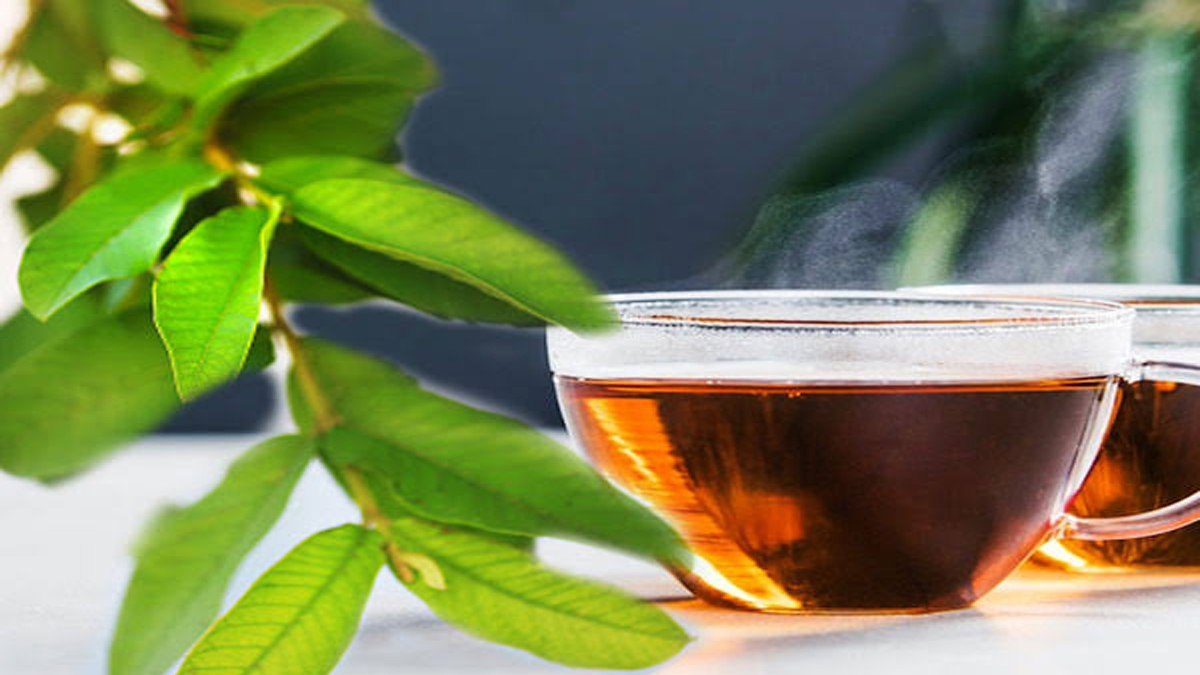 Relief from acidity: একটি গাছের পাতা আপনাকে অম্বল থেকে মুক্তি দিতে পারে। দেখুন বিস্তারিত