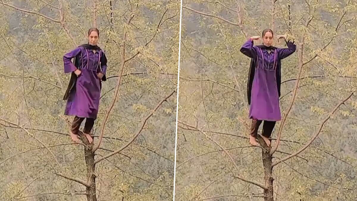 Viral Video: রিলসের নেশার গাছে মহডালে উঠে নাচ, ভাইরাল তরুণীর কীর্তি