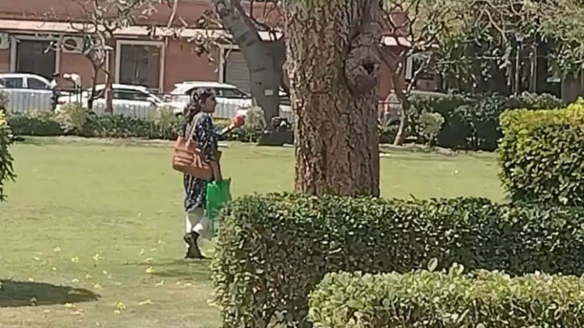 Viral Video Of Woman: 'একটা ফুল তোলায় কত চিৎকার', সুপ্রিম কোর্টের লন থেকে গোলাপ তোলায় চেঁচামেচি, মহিলার পালটা জবাবে ভাবতে বসবেন আপনি