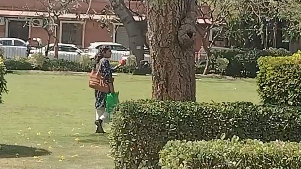 Viral Video Of Woman: 'একটা ফুল তোলায় কত চিৎকার', সুপ্রিম কোর্টের লন থেকে গোলাপ তোলায় চেঁচামেচি, মহিলার পালটা জবাবে ভাবতে বসবেন আপনি