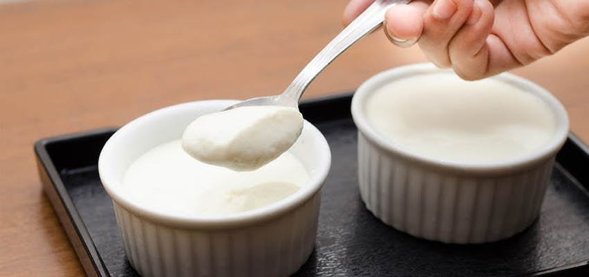 Who shouldn't eat sour yogurt: টক দই খাচ্ছেন? তবে কিছু ক্ষেত্রে টক দই খাওয়া উচিত নয়। দেখুন বিস্তারিত