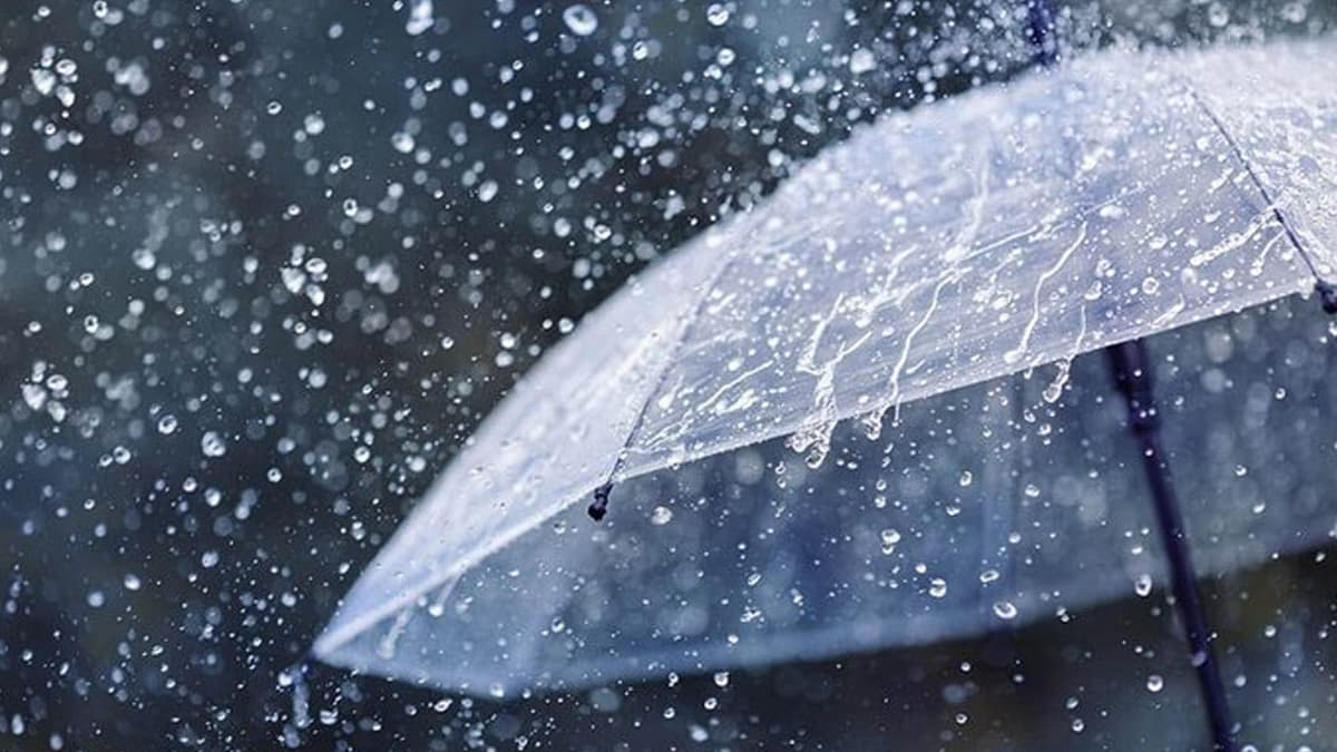Kerala Rain: কেরলে প্রবল বৃষ্টির পূর্বাভাস, ৯ জেলার শিক্ষাপ্রতিষ্ঠানে ছুটি ঘোষণা করল প্রশাসন
