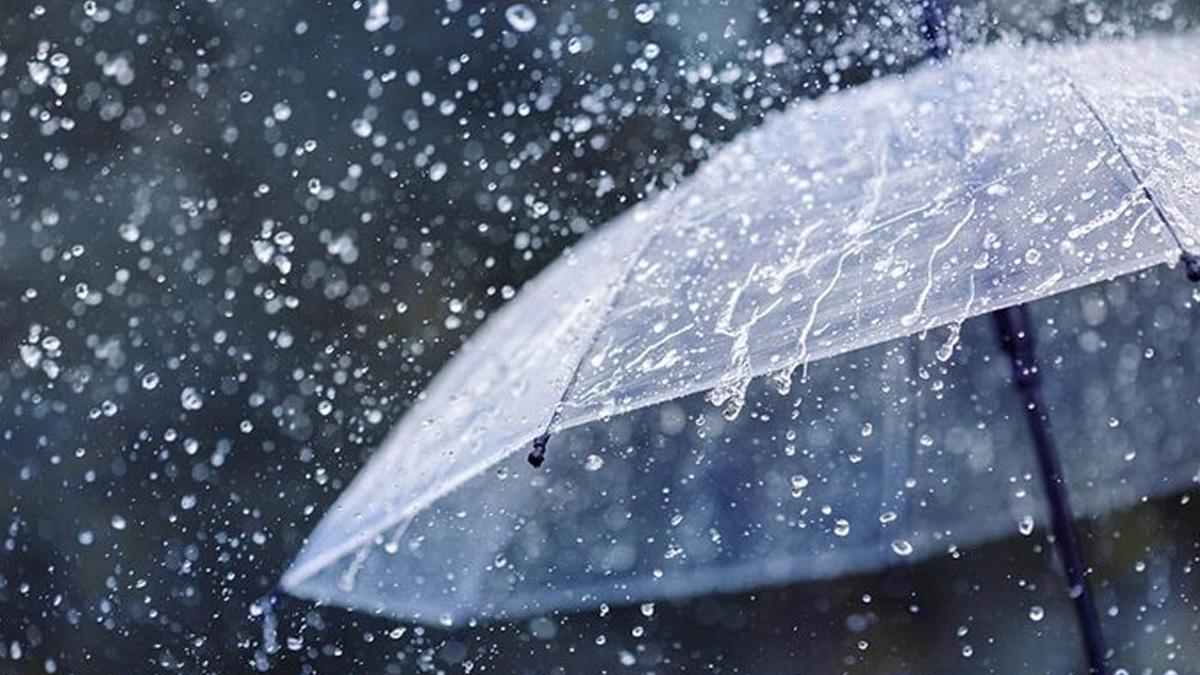 West Bengal Weather Update: ছুটির বিকেলে ধেয়ে আসছে দুর্যোগ, ভিজবে কোন কোন জেলা?