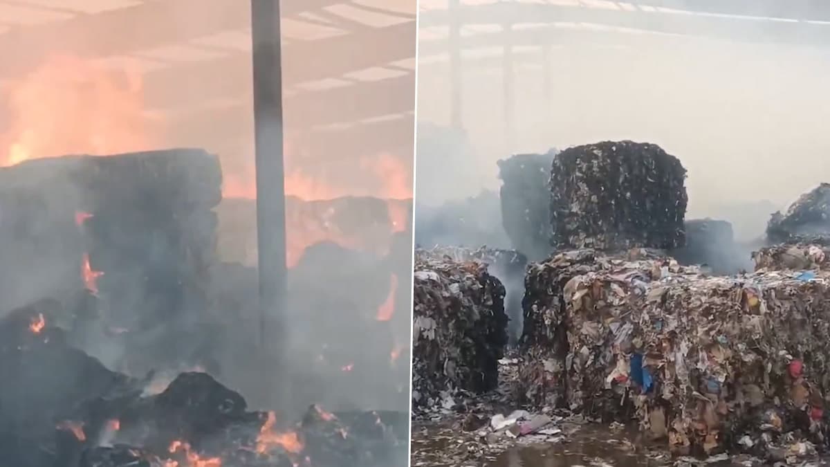 Rajkot Fire: রাজকোটের পেপার মিলে বিধ্বংসী অগ্নিকাণ্ড, পুড়ে ছাঁই কারখানা, দেখুন ভিডিয়ো
